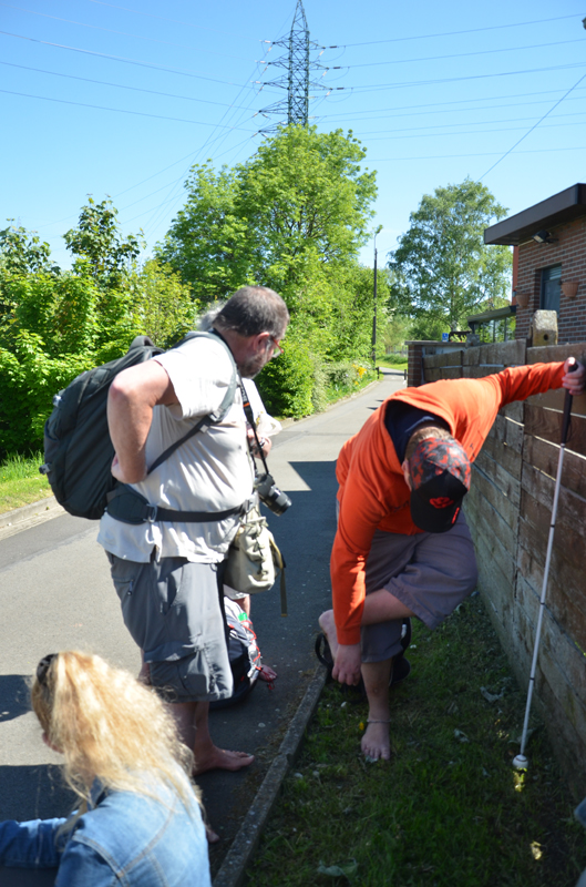 BF-Treffen_LG-20180505-0129-GaN_6209