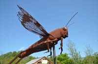 BF-Treffen_LG-20180505-0168-GaN_6226