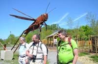 BF-Treffen_LG-20180505-0178-GaN_6233